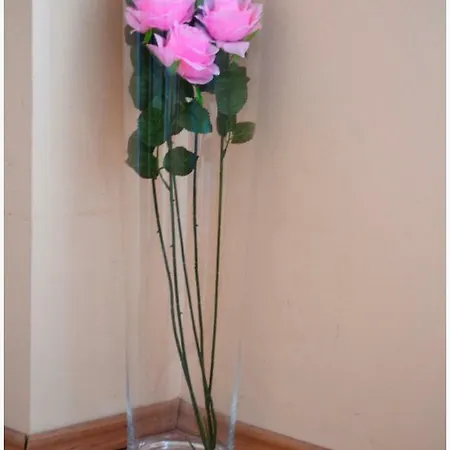 Apartamento Biocic Split